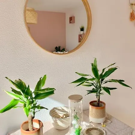 Appartement Springfields - En Proche Du Parlement Europeen Schiltigheim