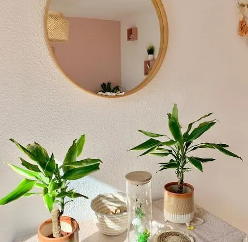 Apartment Springfields - En Proche Du Parlement Europeen Schiltigheim