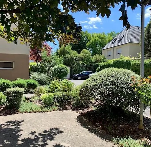 Springfields - En Proche Du Parlement Europeen * Schiltigheim