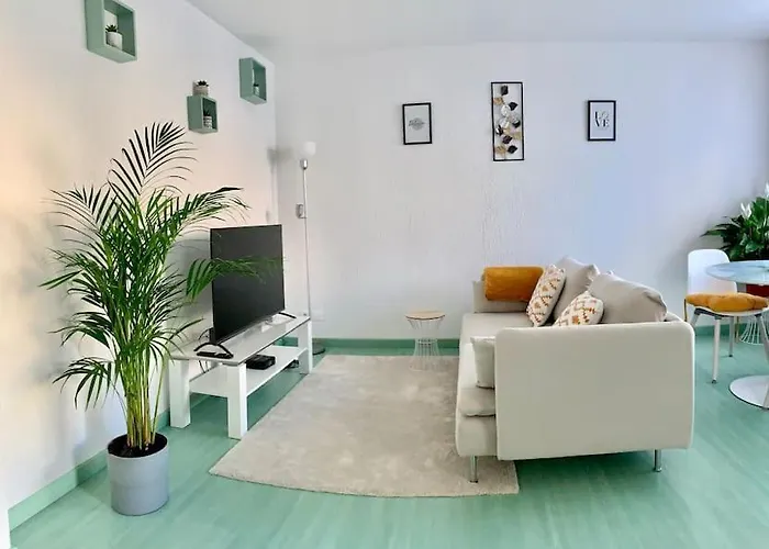 Apartment Springfields - En Proche Du Parlement Europeen Schiltigheim